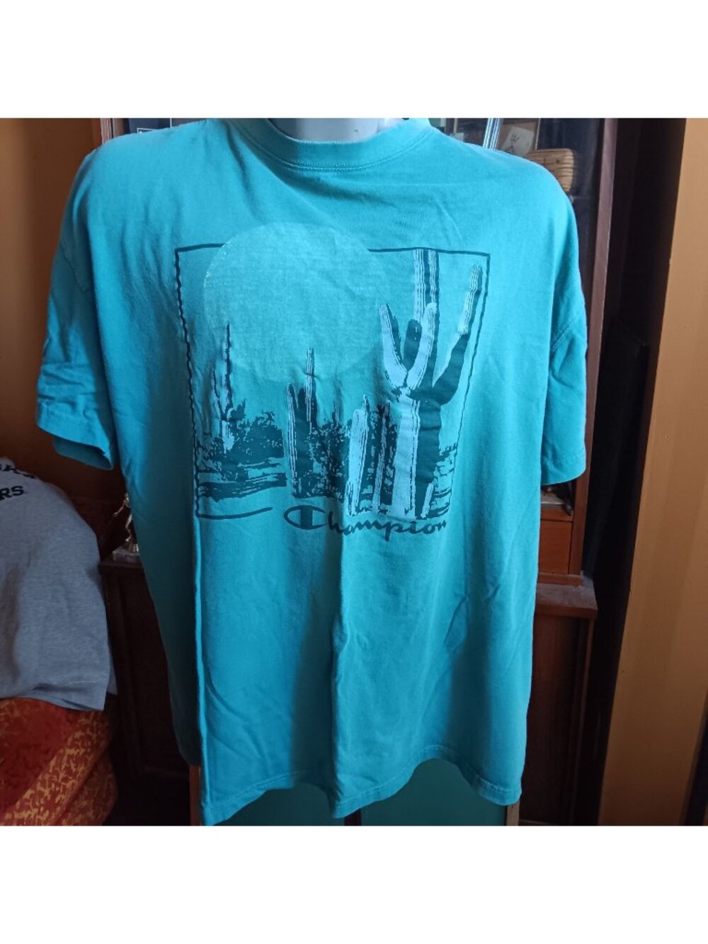 Champion 2XL Graphic Teal T-Shirt Cactus Moon Desert Scene Print Cotton